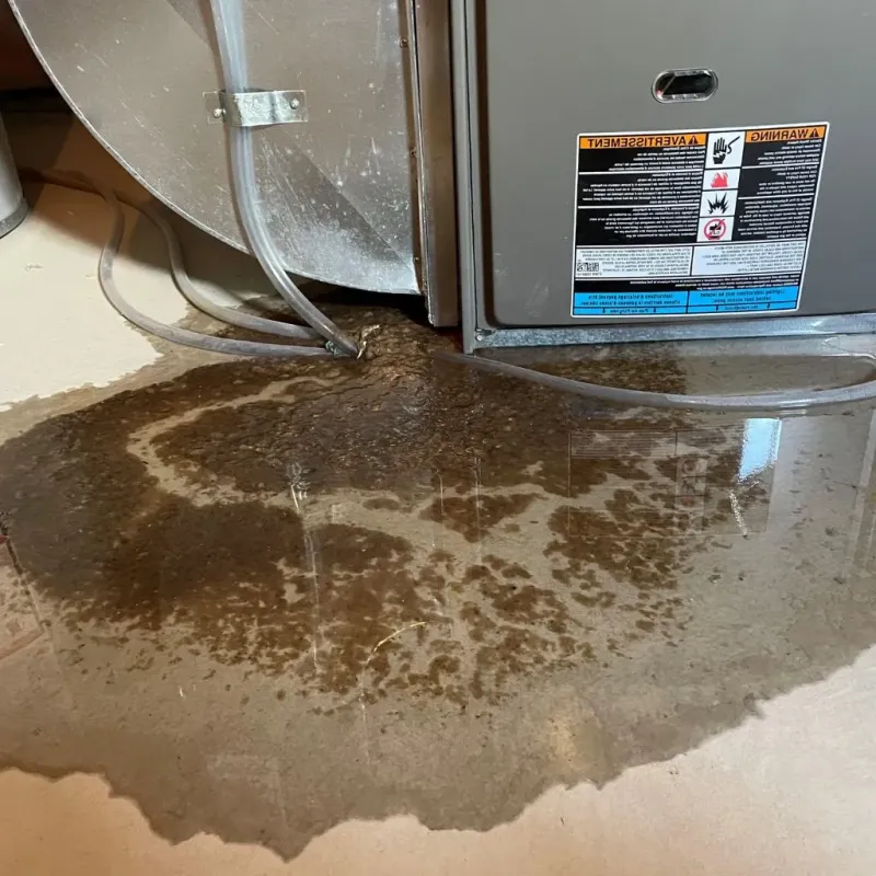 Pipe Burst and Leak Restoration in San Mateo County, CA