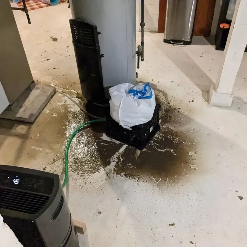 Sewage Backup Cleanup Service in San Mateo County, CA